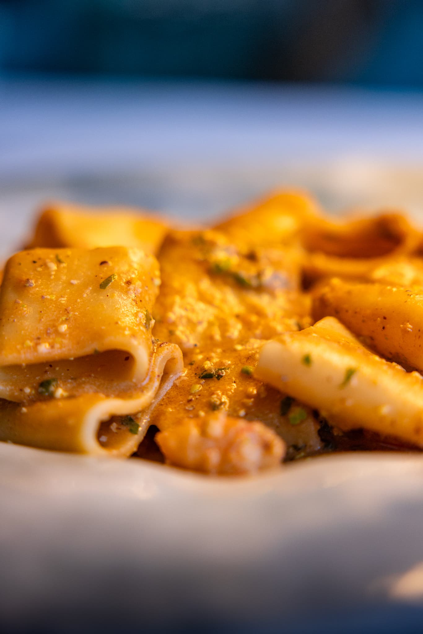 Paccheri pasta